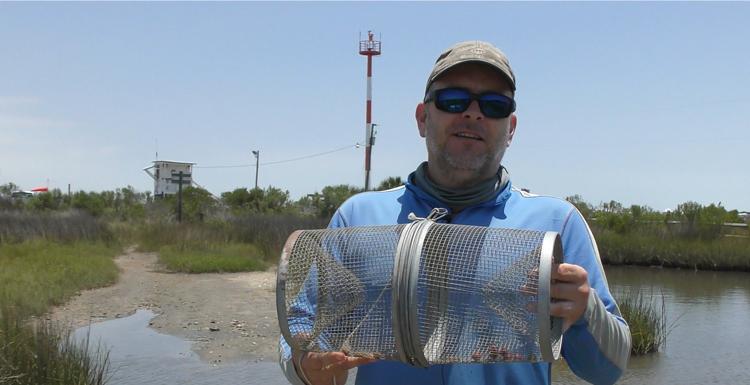 Dr. Ronald Baker, assistant professor in the department of marine sciences co-authored a paper on salt marshes that was published in Science magazine's November 6, 2020 issue. 